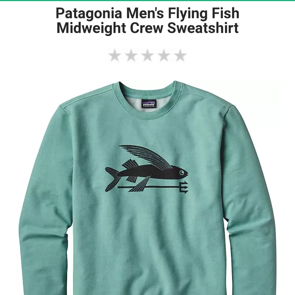 Patagonia men's flying fish mid-weight sweat shirt